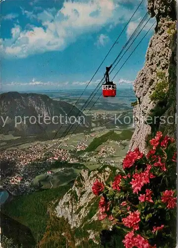 AK / Ansichtskarte Seilbahn Predigtstuhl Bad Reichenhall  Kat. Bahnen