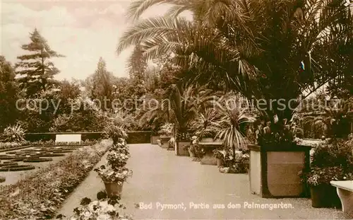 AK / Ansichtskarte Bad Pyrmont Partie aus dem Palmengarten Kat. Bad Pyrmont