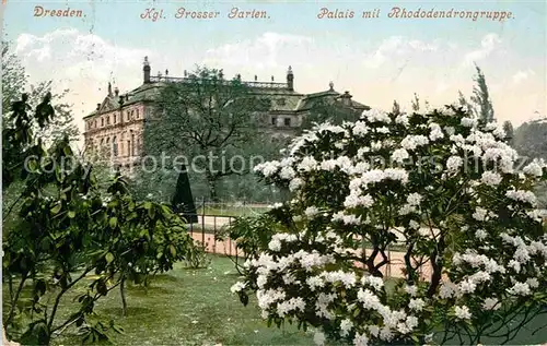 Dresden Koeniglicher Grosser Garten Palais Rhododendrongruppe Kat. Dresden Elbe