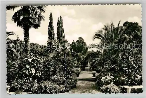 AK / Ansichtskarte Bad Pyrmont Palmengarten Kat. Bad Pyrmont