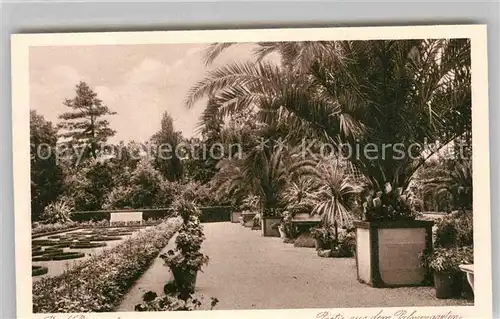 AK / Ansichtskarte Bad Pyrmont Palmengarten Kat. Bad Pyrmont