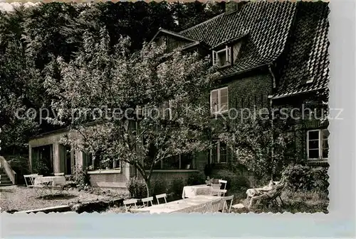 AK / Ansichtskarte Springe Deister Waldwirtschaft Waldwinkel Kat. Springe