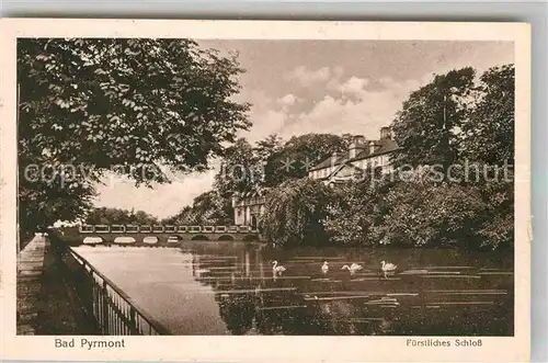 AK / Ansichtskarte Bad Pyrmont Fuerstliches Schloss Kat. Bad Pyrmont