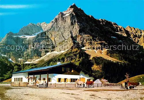 AK / Ansichtskarte Eng Alm Rasthuette Almvieh Kuehe Karwendelgebirge