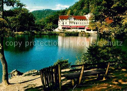 AK / Ansichtskarte Bad Lauterberg Kneipp Kurhotel Wiesenbeker Teich Kat