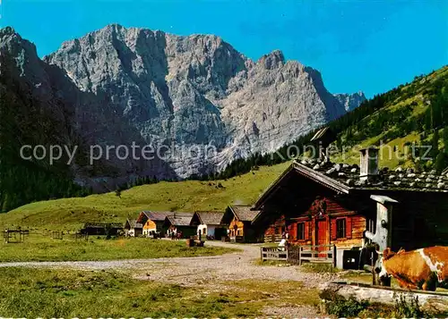 AK / Ansichtskarte Eng Alm Almen im Karwendel Brunnen Kuh