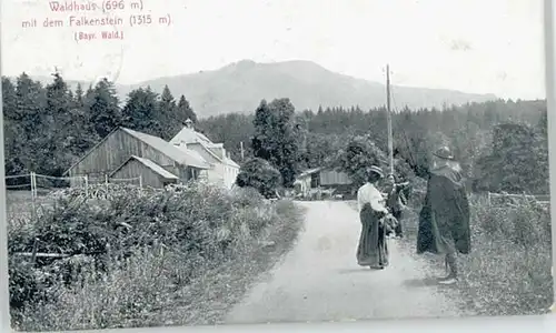 Waldhaus  x 1912