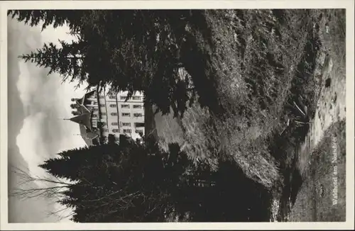 Oberried Waldhotel am Notschrei *