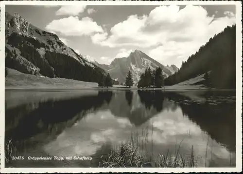 Unterwasser Unterwasser Graeppelensee Schafberg * /  /