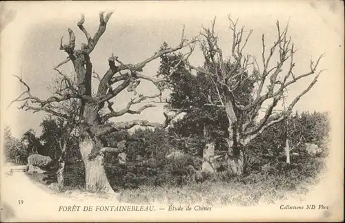 Fontainebleau Fontainebleau Foret * /  /