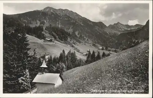 Langenwang Gaisalpe Entschenkopf Nebelhorn *