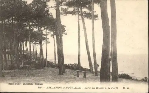 Arcachon Moulleau Bord Bassin Foret x