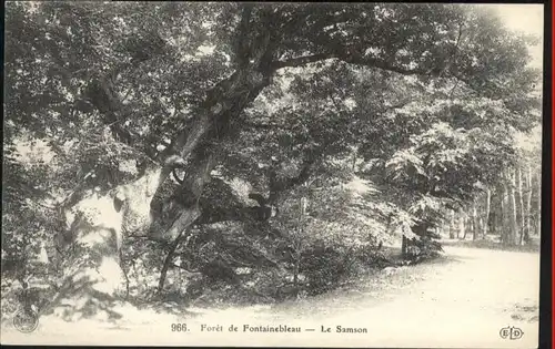 Fontainebleau Foret Samson *
