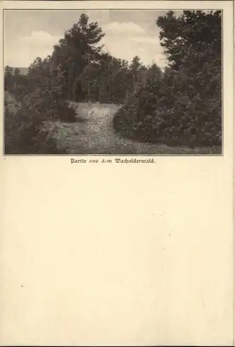 Hayingen Wacholderwald *