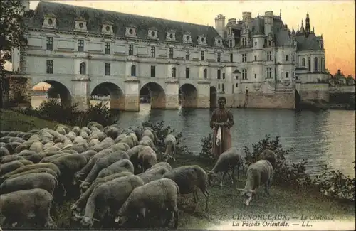 Chenonceaux Chateau Schafe  *