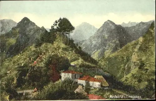 Cruzimbas Madeira *