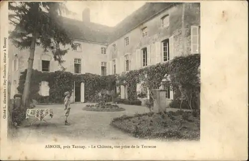 Asnois Chateau Terasse x