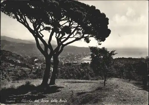 Savona Savona Albisola dal Bosco delle Ninfe x /  /