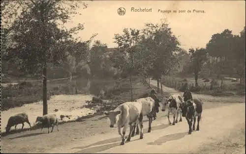 Rochefort Paysage Pont Pierres Kuh x
