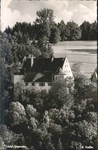 AK / Ansichtskarte Eglofs [handschriftlich] Schloss Syrgenstein *