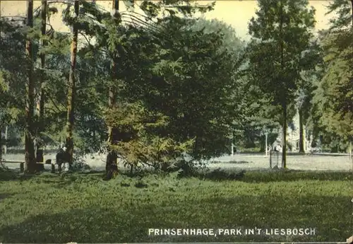 Prinsenhage Park in't Liesbosch x