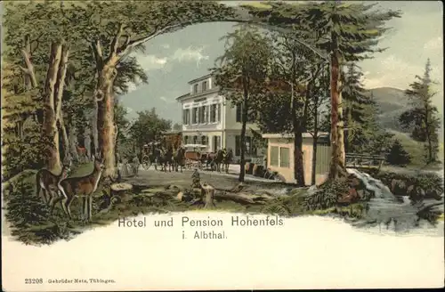 AK / Ansichtskarte Hohenfels Hotel Pension *