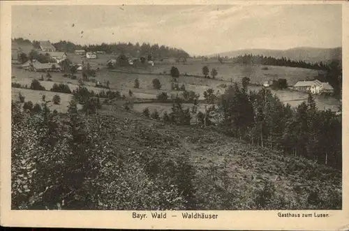 AK / Ansichtskarte Waldhaeuser 