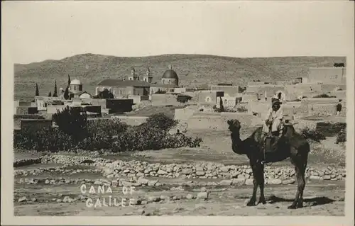 Galilee Cana Kamel / Israel /Israel