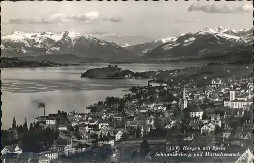 Horgen Schaenniserberg Muertschenstock /  /