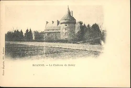 Roanne Le Chateau de Boisy /  /