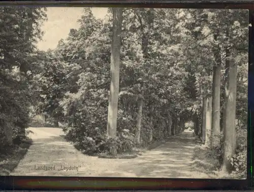 AK / Ansichtskarte Landgoed Leyduin / Niederlande /Niederlande