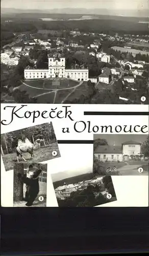 kopecek Olomouce /  /