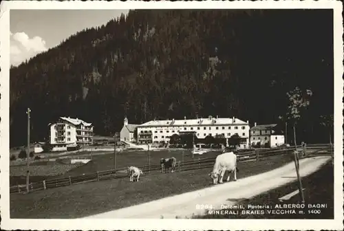 Pusteria Dolomiti Kuehe Minerali Braies Vecchia / Italien /Italien