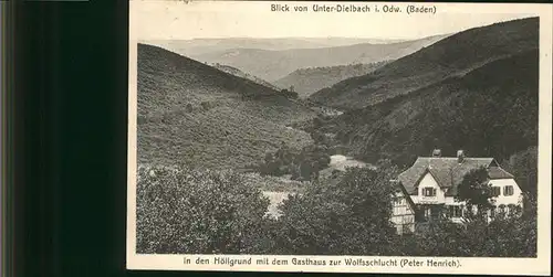 AK / Ansichtskarte Unter Dielbach Hoellgrund Gasthaus Wolfsschlucht /  /