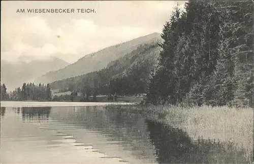 AK / Ansichtskarte Wiesenbecker Teich  /  /