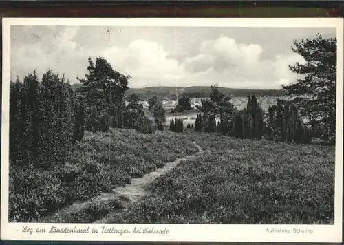 AK / Ansichtskarte Tietlingen Walsrode Weg am Loensdenkmal /  /