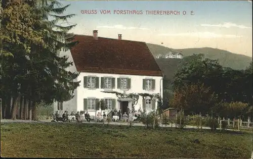 AK / Ansichtskarte Thierenbach Forsthaus /  /