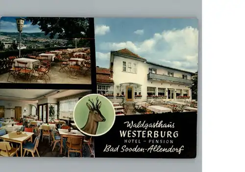 Bad Sooden-Allendorf Waldgasthaus Westerburg /  /