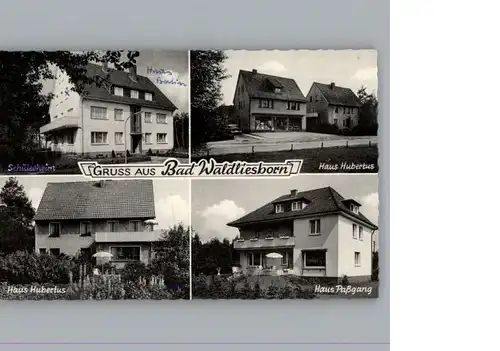 Bad Waldliesborn Haus Hubertus,Haus Passgang /  /