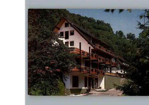 Bad Peterstal Hotel, Restaurant Hoferer /  /