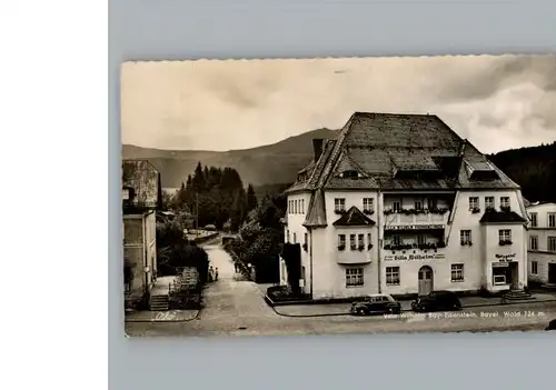 AK / Ansichtskarte Bayerisch Eisenstein Villa Wilhelm /  /