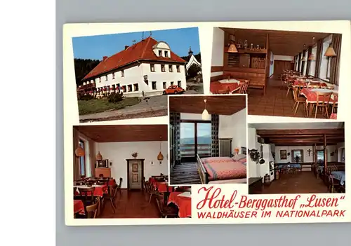 AK / Ansichtskarte Waldhaeuser Hotel Berggasthof Lusen /  /