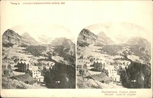hw13043 Wegner Alpen  Kategorie. Schweiz Alte Ansichtskarten