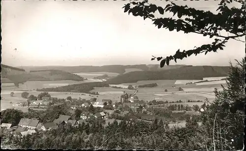 Olsenhellefeld Panorama