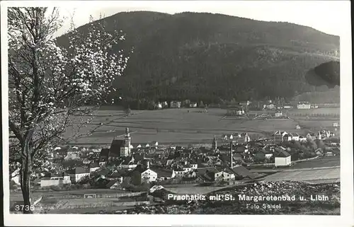 Prachatice Panorama mit St. Margaretenbad und Libin Fruehlingsbluete / Prachatitz /