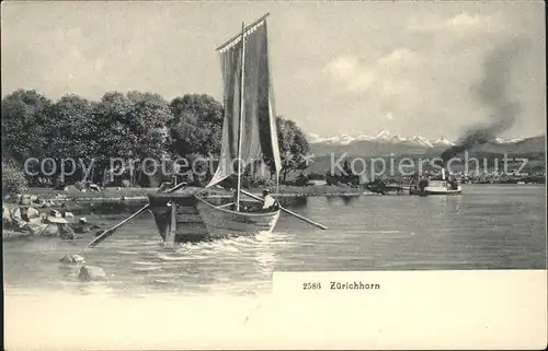 Zuerichhorn Seepanorama Dampf und Segelschiff Kat. Zuerich