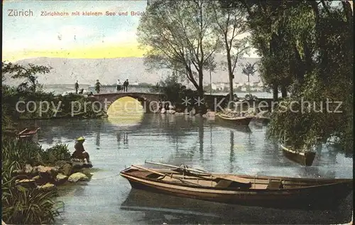 Zuerichhorn mit kleinem See und Bruecke Kat. Zuerich
