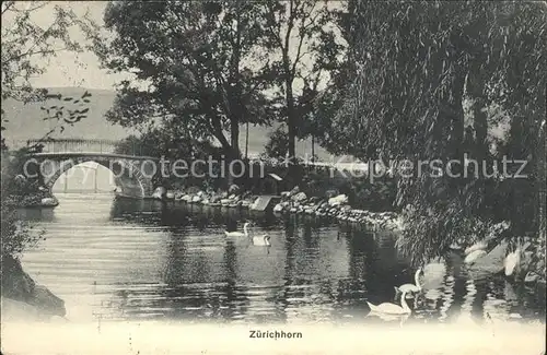 Zuerichhorn Kleiner See mit Bruecke Kat. Zuerich