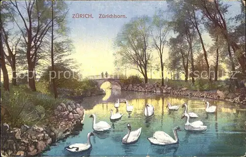 Zuerichhorn Uferpartie am Fluss Bruecke Schwaene Kat. Zuerich