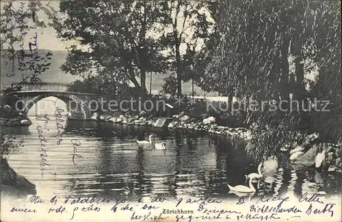 Zuerichhorn Uferpartie am Fluss Schwaene Bruecke Kat. Zuerich